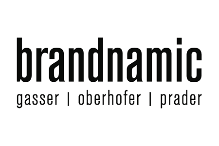Logo Brandnamic